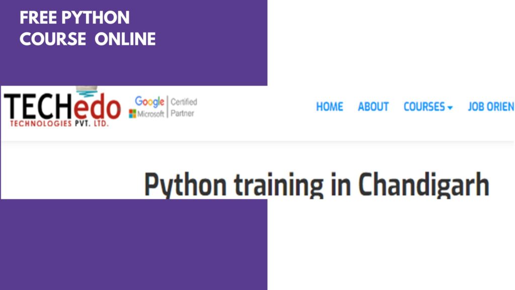 TECHEDO best institutes for learning python online 