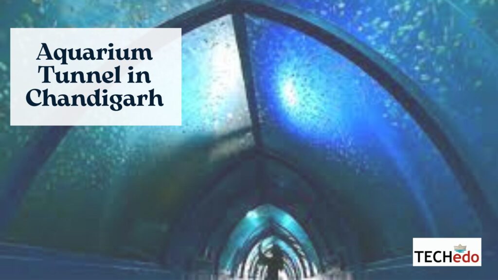 Aquarium Tunnel in Chandigarh